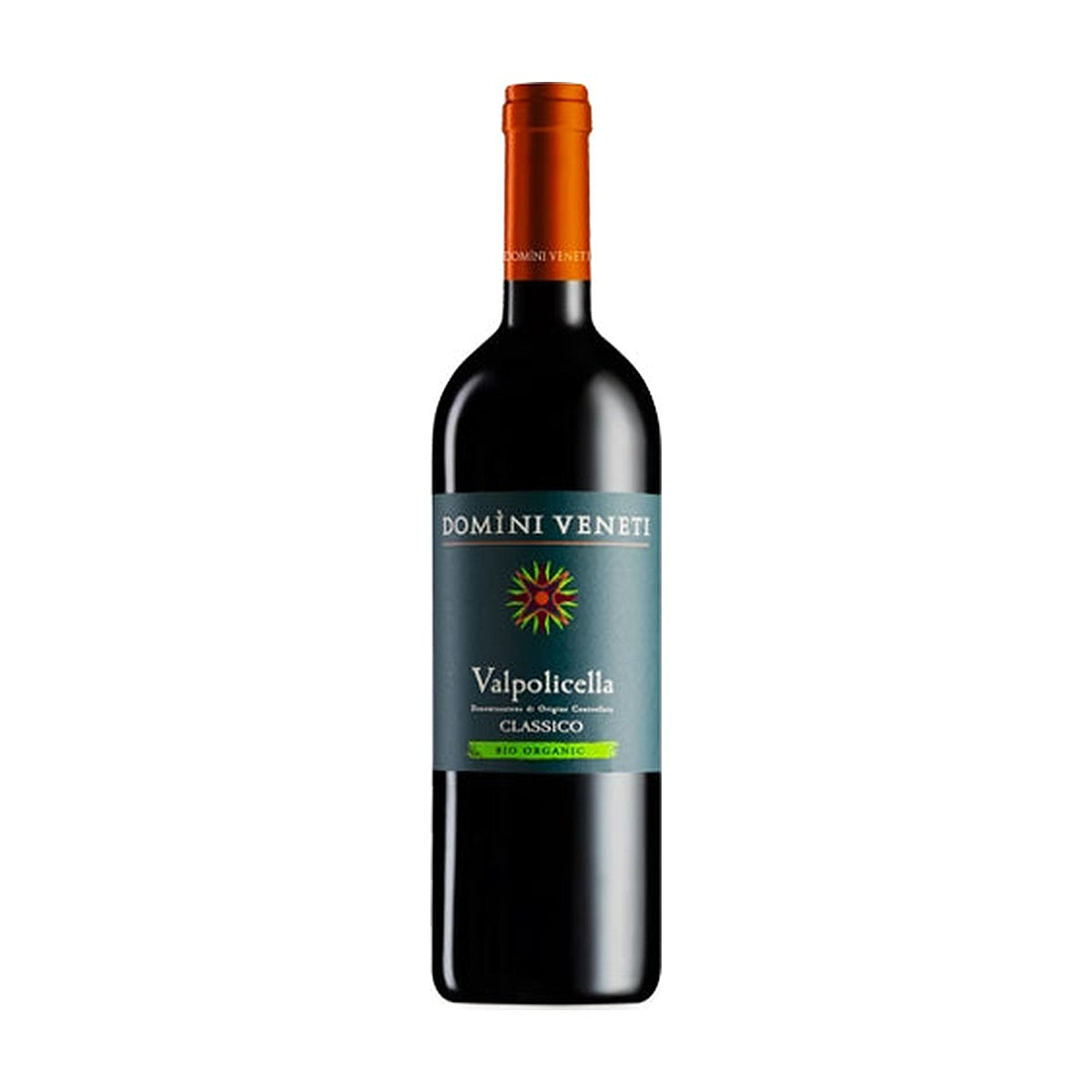 Domini Veneti Valpolicella DOC Classico Biologico 2021 vino rosso Veneto