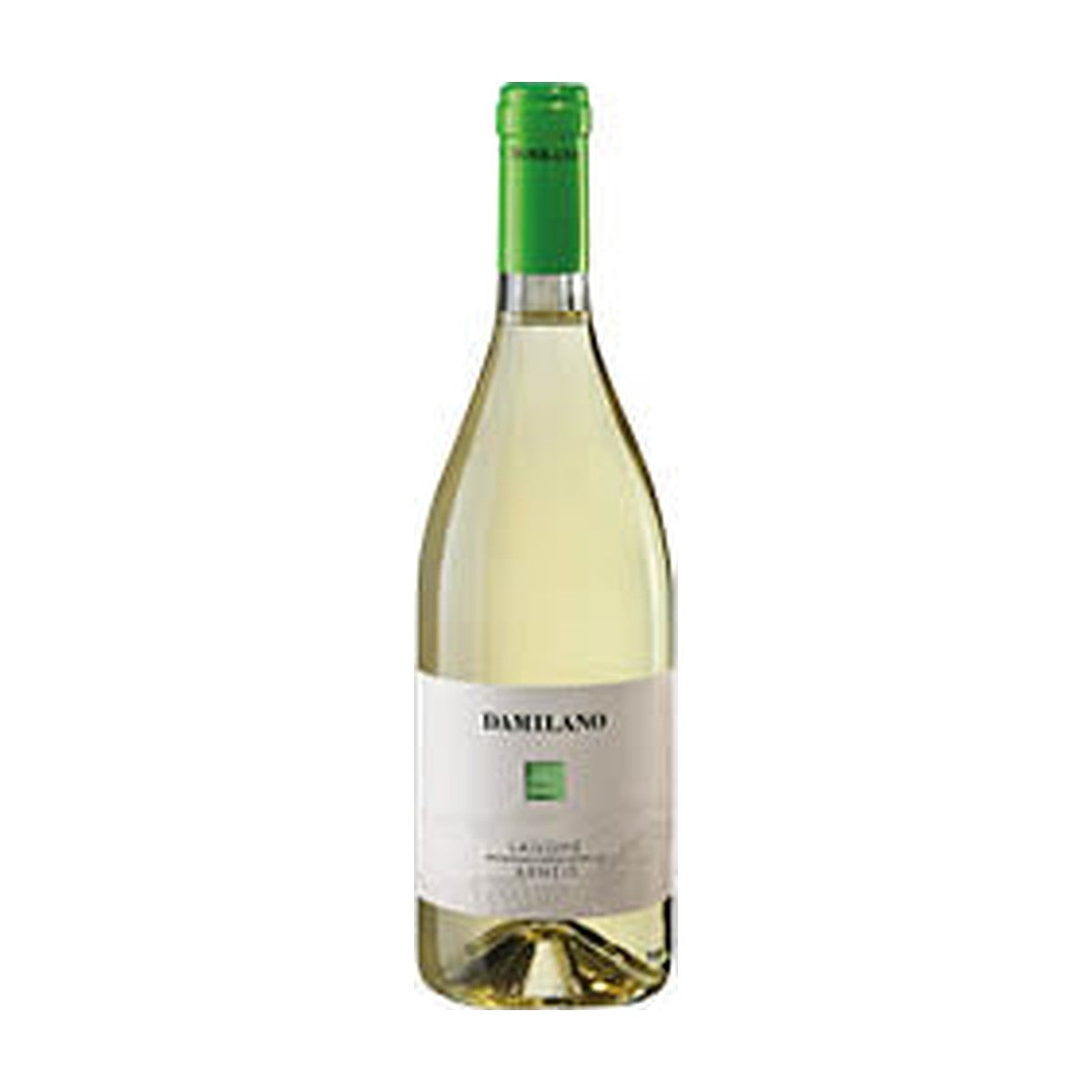 Damilano Langhe Arneis DOC 2024 vino bianco Piemonte