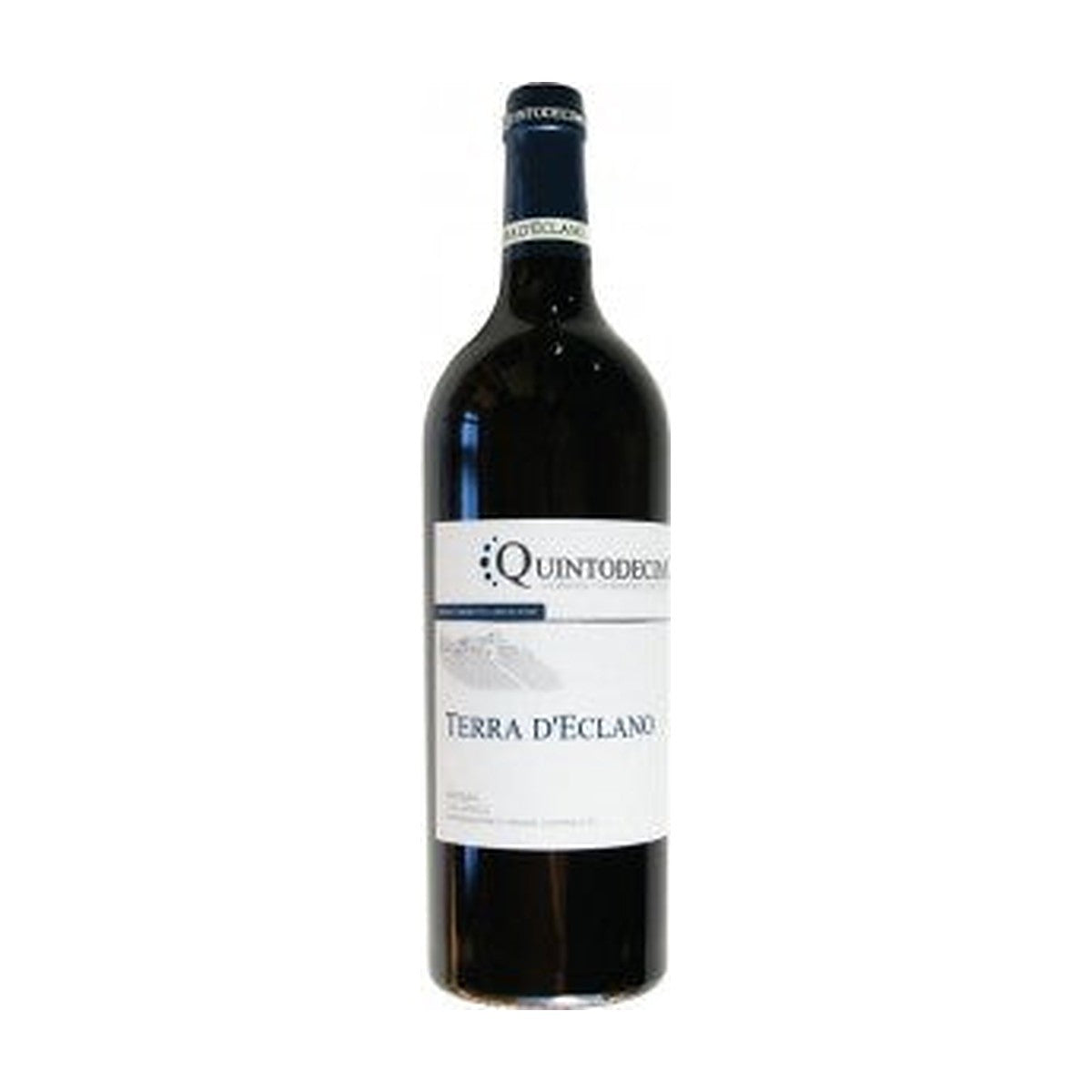 Quintodecimo Aglianico Terra d'Eclano 2020 vino rosso Campania