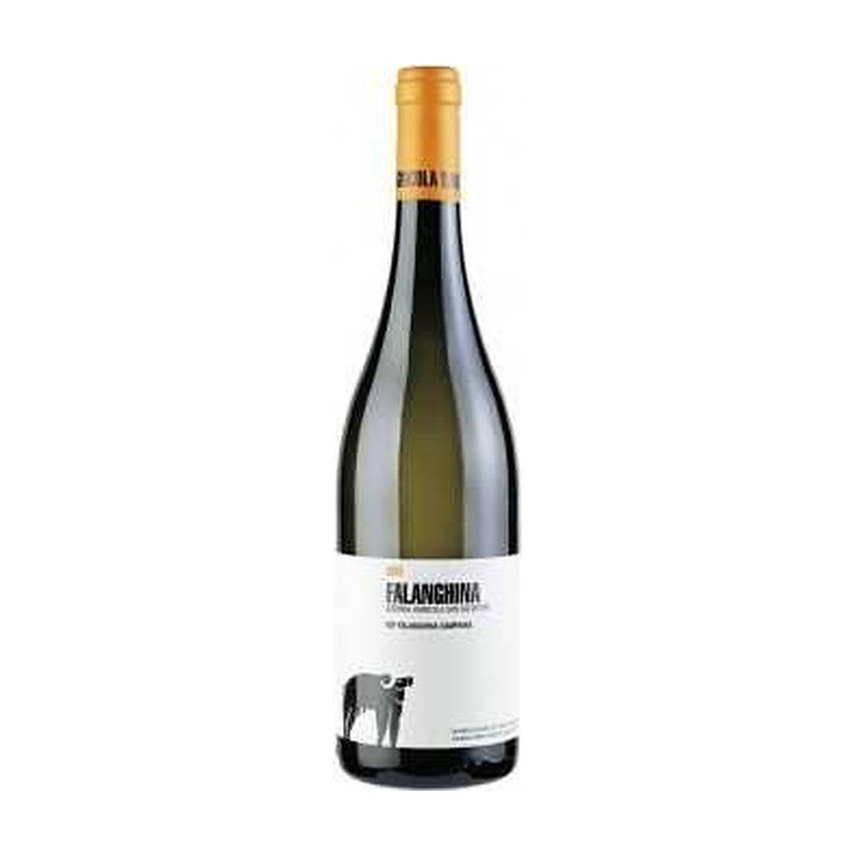 San Salvatore Falanghina 2023 vino bianco Campania