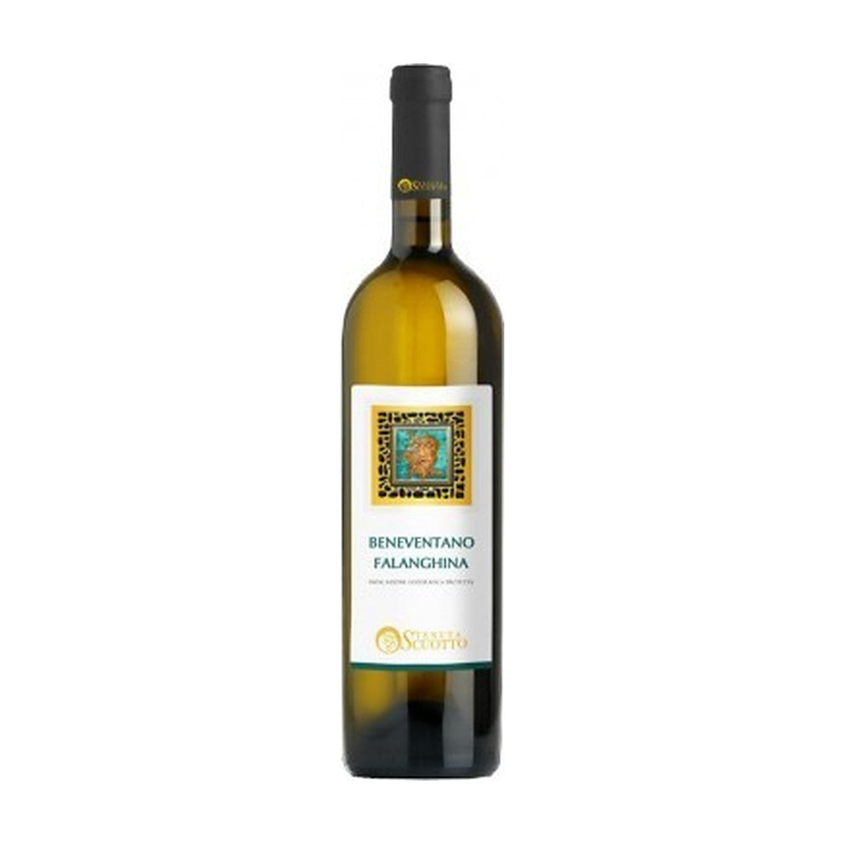 Tenuta Scuotto Falanghina 2017 vino bianco Campania