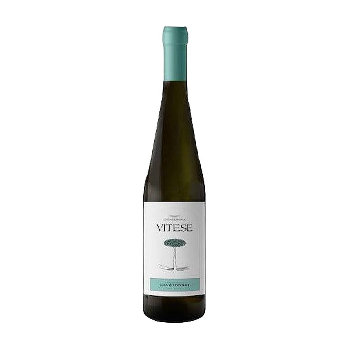 Colomba Bianca Vitese Chardonnay Bio 2022 vino bianco