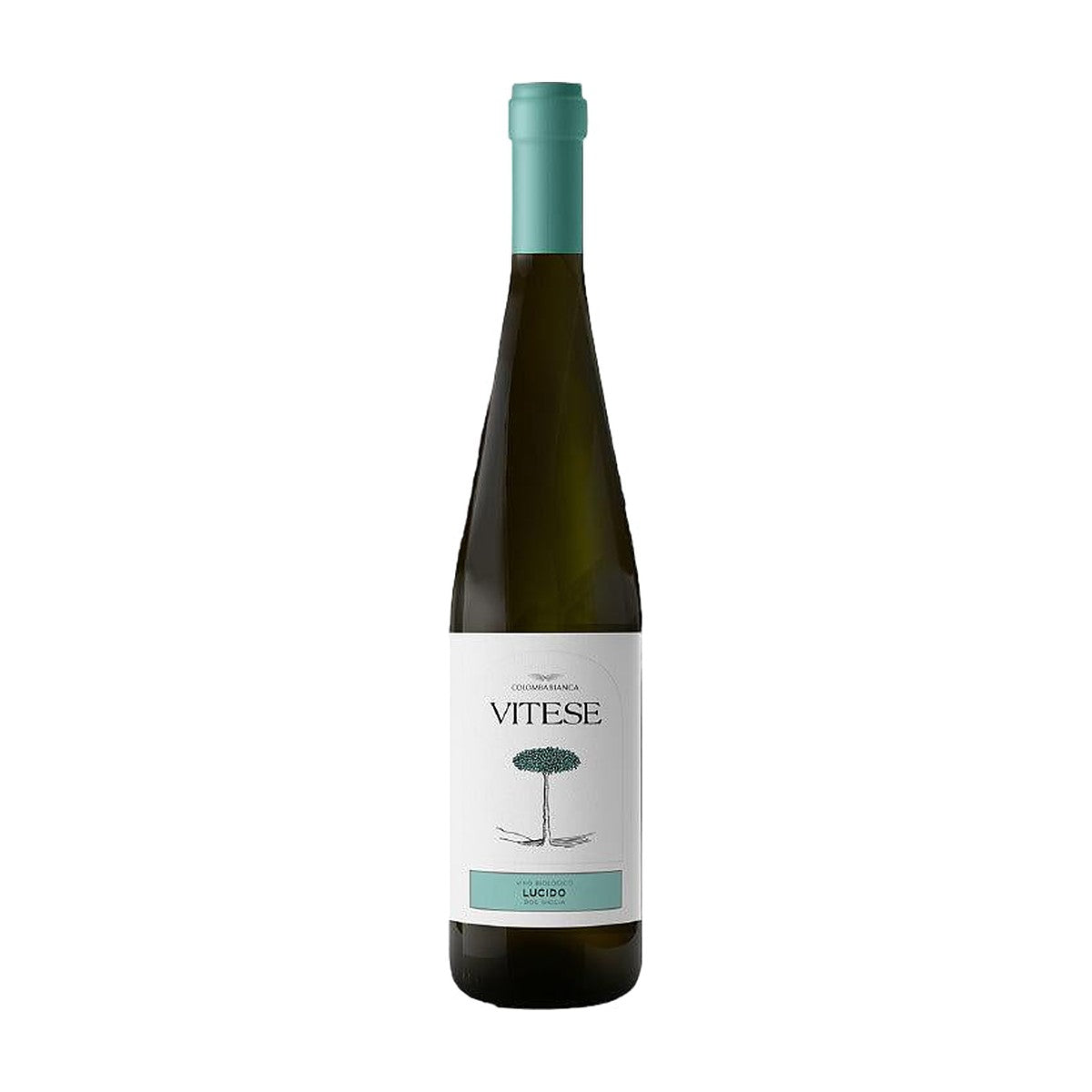 Colomba Bianca Vitese Lucido Bio 2019 vino bianco