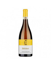 Antonio Caggiano Fiano di Avellino Bechar 2024 vino bianco Campania