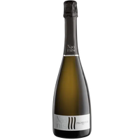 Naonis Prosecco Extra Dry DOC spumante Friuli