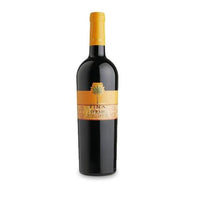 Cantine Fina Syrah Terre Siciliane IGT 2022 vino rosso Sicilia