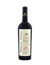 Masseria Frattasi Caudium Aglianico 2020 vino rosso Campania